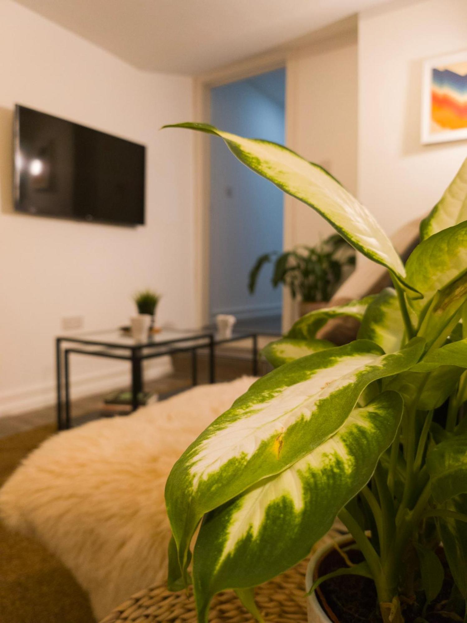 Plenty Of Parking Available; 3 Bedroom Apartment By Property Promise Cardiff Eksteriør billede